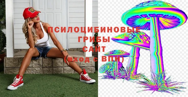 MDMA Premium VHQ Инта
