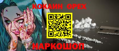 гашик Будённовск