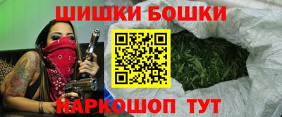 гашик Будённовск