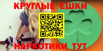 гашик Будённовск