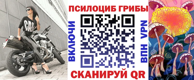 Галлюциногенные грибы Psilocybe  ОМГ ОМГ ТОР  Воронеж 