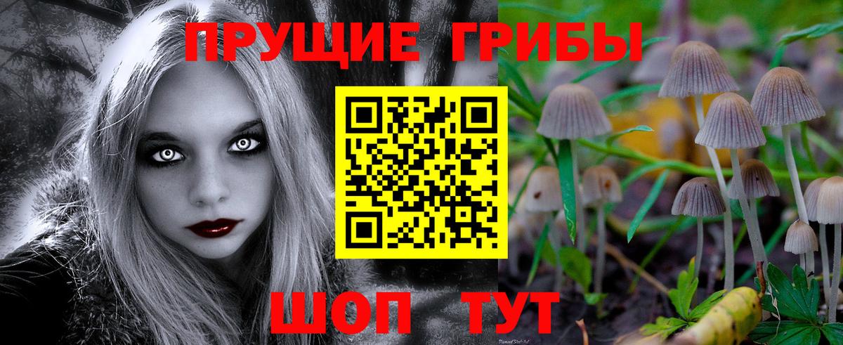 Псилоцибиновые грибы MAGIC MUSHROOMS Воронеж