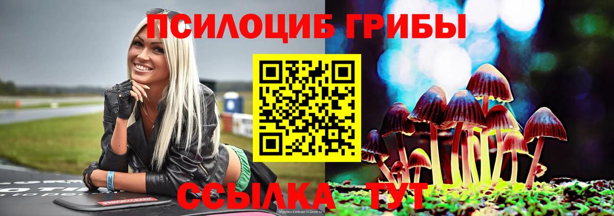 Воронеж  Галлюциногенные грибы Cubensis  Вход с VPN 