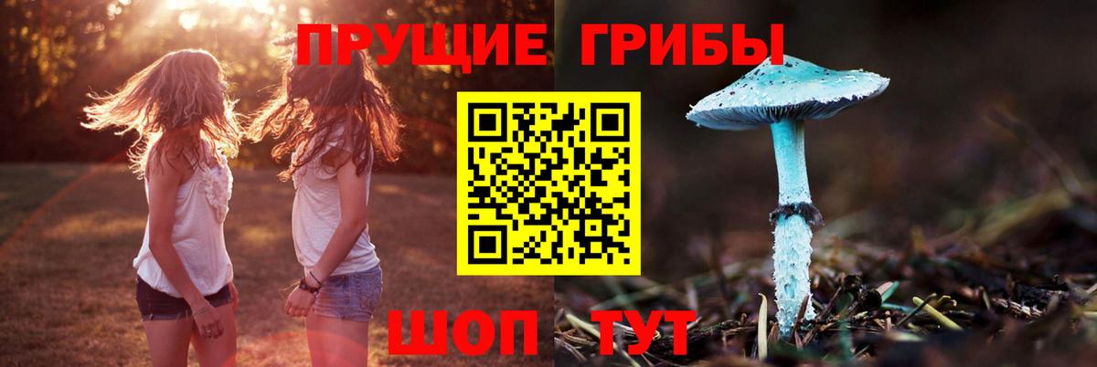 Галлюциногенные грибы прущие грибы  Воронеж 